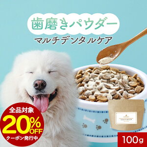 ySiΏ20OFFN[|Iz   Ύ pE_[ }` f^PA 100g ӂ肩 Tv t[h EFbg  VjA V  ̒Ǘ  hbOt[h ͂
