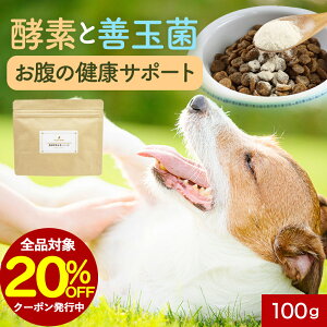 ySiΏ20OFFN[|Iz yf Tv y؁ppC 100g t[h EFbg  VjA V  pE_[  hbOt[h ӂ肩 ͂ gbsO ybg ^ 