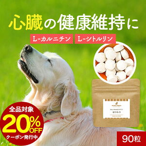 ySiΏ20OFFN[|Iz S Tvg ͂ 90 Tv t[h EFbg  T|[g VjA V  ŏ  hbOt[h ӂ肩 ͂ gbsO X[v y