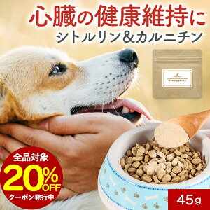 ySiΏ20OFFN[|Iz S Tvg Vg  Jj` 45g Tv t[h EFbg pE_[   ̒Ǘ hbOt[h ӂ肩 ͂ gbsO ybg 