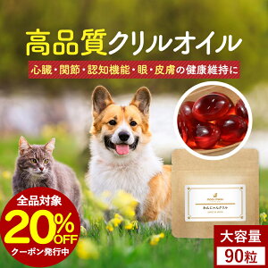 ySiΏ20OFFN[|Iz NIC Tv ɂN 90ieʁjIK3 IC L IK3b_ Tvg  T|[g VjA V  hbOt[h 