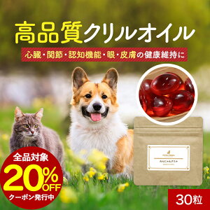 ySiΏ20OFFN[|Iz NIC Tv ɂN 30 IK3 IC L IK3b_ Tvg  T|[g VjA V  hbOt[h ͂ gbs