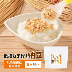  Ђ [ 80g H 9 Y 哤 kCY t[YhC y ۑ S  c Ԃ h{⏕ ibgELi[[ [ yHi hC[ Ђ[ 