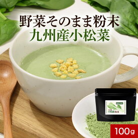 九州産 小松菜 粉末 パウダー 100g 国産 野菜そのまま粉末 野菜パウダー お野菜 野菜粉末 おやさい 鉄分 カルシウム カリウム 食物繊維 ベータカロチン ビタミンC ビタミンE 葉酸 下処理不要 加熱不要 保存食 美容 ダイエット レビュー特典