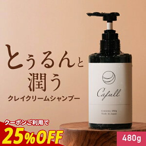 yN[|25%OFFzNCN[Vv[ CLAYRYcafull NC[Jt 480g yt[̍ { NCVv[ PA }bT[W n}bT[W  jIC  D