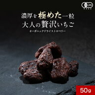 【半額】モニターキャンペーン！オーガニック ドライストロベリー 有機 イチゴ いちご 乾燥 苺 ドライフ…