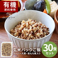 食塩 無添加 玄米 パック 玄米パック ごはん ご飯パック スーパー大麦 皮付き 紫もち麦 入り (160g×30食…