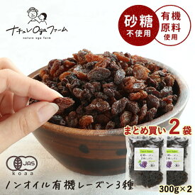 レーズン 無添加 ノンオイル オーガニック 3種 ミックス ドライフルーツ 砂糖不使用 無添加 ドライフルーツミックス 600g(300g×2袋) 有機 レーズン ドライフルーツヨーグルト 送料無料