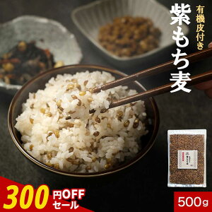 y300~OFFZ[z Y L@ Y I[KjbN t  500g  ݔ H@ -OJ ^pN h{ N GI AgVAj _CGbg ͂ 