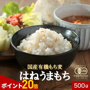 y|Cg20{z L@  ͂˂܂Y L@ I[KjbN 500g  ݔ H@ ^pN h{ N GI _CGbg ͂  r[T