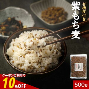 ySiN[|10%OFFz Y L@ Y I[KjbN t  500g  ݔ H@ -OJ ^pN h{ N GI AgVAj _CGbg ͂ 