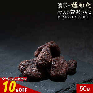 ySiN[|10%OFFzI[KjbN hCXgx[ L@ C`S    hCt[c sgp  Y  r[T