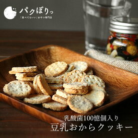 【LINE登録で5％OFFクーポン】 おからクッキー 乳酸菌 入り 500g ダイエット お菓子 おかし 豆乳おからクッキー かたい 硬い ダイエット食品 ダイエットクッキー ハード クッキー 置き換え スイーツ 送料無料 nkdy