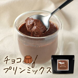 【LINE登録で5%OFFクーポン】 チョコプリン の素 120g (約12個分) 糖質制限 手作り ココア プリン ミックス ロカボ 粉末 パウダー チョコレート お菓子作り スイーツ デザート ダイエット 大容量