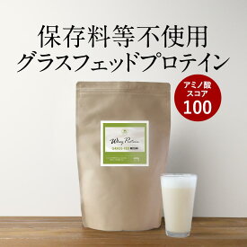 【LINE登録で5％OFFクーポン】ホエイプロテイン 保存料 無添加 プレーン プロテイン 無糖 甘味料無添加 (400g) お試し 初心者 女性 美容 グラスフェッド プロテイン WPCプロテイン アミノ酸スコア100 置き換え ダイエット 女性 送料無料