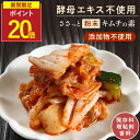 【P20倍セール】＼SNSで話題！ランキング1位／キムチの素 無添加 粉末 キムチ キムチパウダー 100g 簡単 本格 手作り 手作りキット 酵母エキス不使用 化学調味料不使用 塩漬け下漬け不要 常温保存 血合粉 旨み 発酵食品 キムチ鍋 カクテキの素 香煙
