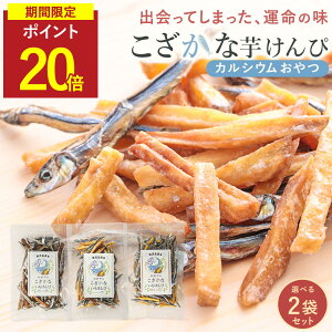 yP20{z   Y 3ނIׂ 2܃Zbg( | /  / v[ ) qǂ JVE َq 60g×2 Y  ۑY LriS A[h