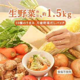 【SALE★クーポン利用で最大10％OFF】野菜だし だしパック 無添加 食塩不使用 子供 野菜 出汁 パック だし 国産 酵母エキス不使用 九州産 ブイヨン 玉ねぎ キャベツ 白菜 大根 セロリ トマト ごぼう しいたけ 人参 生姜 子ども 健康 栄養 5g×10包