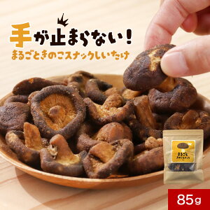 y|Cg5{z ő r^~d XibN َq 85g  q ǂ  H@ h{ `bvX  hCxW^u ܂ ቷtC@ tCXibN t