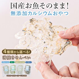 いわしせんべい カルシウム せんべい 薄焼き いわし 無添加 訳あり お菓子 魚せんべい 健康おやつ カルシウムせんべい いわし せんべい 無添加 国産 大人 健康おつまみ ギフト ちりめんせんべい 薄焼きせんべい 子供 無添加お菓子 国産 子供 煎餅 高齢者 シニア