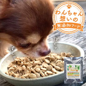 訳あり 在庫処分 ドッグフード 100g 小分け包装 有機 九州産若どりと雑穀ベジミックス お試し 犬 ダイエット フード 小分けタイプ おやつ サプリ 体調管理 ドッグフード 無添加 シニア 老犬 高齢 低脂肪 国産 アレルギー 送料無料 食品ロス フードロス