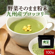 【SALE★クーポン配布中】九州産 ブロッコリー 粉末 パウダー 100g 野菜そのまま粉末 野菜パウダー お野…
