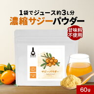 【LINE登録で15%OFFクーポン】サジー 粉末 ジュース サジーパウダー 60g 約30日分 オーガニック原料 保存…