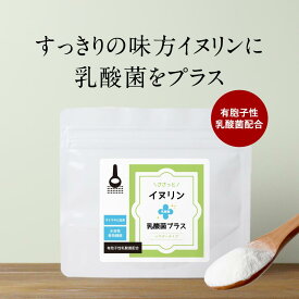 イヌリン パウダー 粉末 乳酸菌 100g 食物繊維 ダイエット 美容 シンバイオティクス ラクリス-S サトウキビ由来 お試し 水溶性食物繊維 腸活 オーガランド 送料無料 サプリメント サプリ サプリの原料 レビュー特典 nkdy
