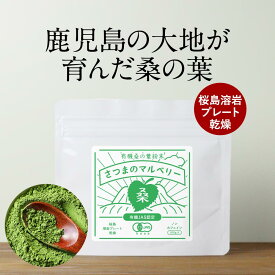 桑茶 オーガニック 国産 無添加 桑の葉 粉末 (100g) 桑の葉茶 有機 JAS 桑の葉粉末 パウダー 青汁 鹿児島県 桑の葉 ダイエット ノンカフェイン 食物繊維 スムージー 葉酸 健康 茶 すっきり 放射能検査済 送料無料 レビュー特典