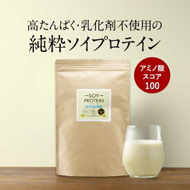 ソイプロテイン 乳化剤 無添加 大豆 植物性 プロテイン 400g 人気 おすすめ 初心者 お試し 女性 美容 高たんぱく タンパク質 アミノ酸スコア100 ボディメイク ダイエット 大豆プロテイン 送料無料
