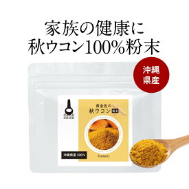 ウコン 粉末 パウダー 国産 100g ウコン粉末 ウコンパウダー 秋ウコン ターメリック ターメリックパウダー 香辛料 無着色 無添加 クルクミン ターメリックライス カレー スパイス 健康 送料無料 サプリ サプリの原料 nkdy
