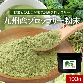 九州産 ブロッコリー 粉末 パウダー 100g 野菜そのまま粉末 野菜パウダー お野菜 野菜粉末 おやさい ビタミン ミネラル 食物繊維 国産 鉄分 カルシウム カリウム 下処理不要 加熱不要 保存食 美容 ダイエット