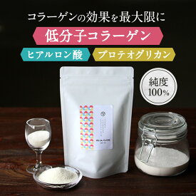 保存料 無添加 コラーゲン 100g ヒアルロン酸 プロテオグリカン ペプチド 粉末 パウダー 低分子 コラーゲンパウダー ドリンク スキンケア サプリ 無着色 無脂肪 糖質0 無味無臭 美容・健康粉末 オーガランド サプリの原料 nkdy
