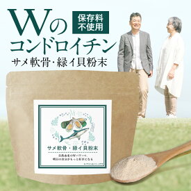 コンドロイチン 粉末 パウダー 100g 無添加 グルコサミン サメ軟骨 緑イ貝 健康 ミドリイガイ イガイ サプリ サプリメント オメガ3 脂肪酸 ミネラル アミノ酸 タンパク質 補助 栄養補助食品 送料無料 サプリの原料 レビュー特典 nkdy