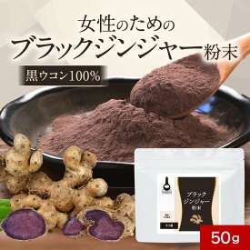 ブラックジンジャー 保存料 無添加 粉末 パウダー 50g 黒 生姜 しょうが 黒 ウコン クラチャイダム ダイエット 燃焼 女性 めぐり ぽかぽか 元気 タイ産 アルギニン アミノ酸 健康 残留農薬検査済 殺菌済 送料無料 サプリの原料 nkdy