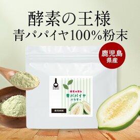 青パパイヤ 酵素 粉末 パウダー 60g 保存料 無添加 添加物不使用 パパイヤ酵素 スーパーフード エイジングケア 美容 健康 ダイエット ポリフェノール ビタミン 免疫 抗酸化 国産 九州産 鹿児島産 送料無料 nkdy