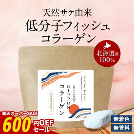 【期間限定SALE】国産 無添加 コラーゲン 粉末 パウダー 100g 天然サケ由来100％ NIPPONコラーゲン ヒアルロン酸 プロテオグリカン ペプチド 低分子コラーゲンペプチド フィッシュコラーゲン 無着色 無脂肪 無味無臭 美容 サプリ nkdy