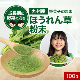子供 野菜 九州産 ほうれん草 粉末 パウダー 100g 野菜そのまま粉末 野菜パウダー お野菜 野菜粉末 おやさい 葉酸 鉄分 食物y繊維 ビタミンC ベータカロチン カリウム 下処理不要 加熱不要 保存食 美容 ダイエット レビュー特典