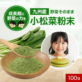 子供 野菜 九州産 小松菜 粉末 パウダー 100g 国産 野菜そのまま粉末 野菜パウダー お野菜 野菜粉末 おやさい 鉄分 カルシウム カリウム 食物繊維 ベータカロチン ビタミンC ビタミンE 葉酸 下処理不要 保存食 美容 ダイエット レビュー特典