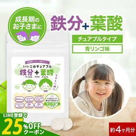 子供 こども サプリ 鉄分 葉酸 亜鉛 青りんご味 120粒 約4か月分 鉄分不足 鉄 チュアブル キッズ サプリメント 偏食 小食 野菜嫌い 栄養成長期 栄養補給 栄養補助 成長 美味しい オーガランド 送料無料 nkdy