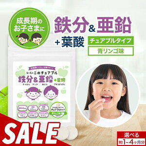 yő20%OFFZ[zq ǂ Tv S   { t_ 񂲖 30 / 120 1`4 Ss S `Au Tvg Tv STv t_Tv h{⋋ h{