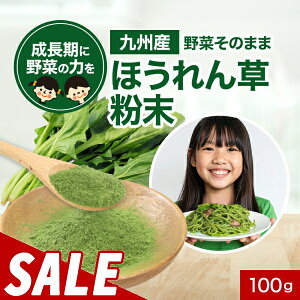 y11%OFFZ[zq  BY ق  pE_[ 100g ؂̂܂ܕ ؃pE_[  ؕ ₳ t_ S Hy@ r^~C x[^J` JE s