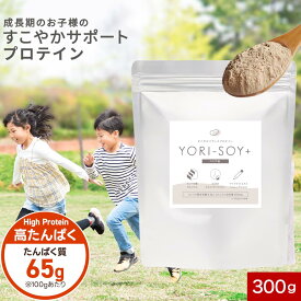 ジュニア プロテイン (300g) 植物性 たんぱく質 ソイ プロテイン 30食分 ココア味 プロテイン 子供 成長 子ども キッズ カルシウム 動物性 大豆タンパク ホスファチジルセリン GABA リラックス 集中 小学生 中学生 オーガランド 姉妹店 送料無料