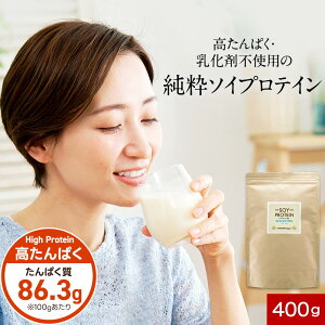 ソイプロテイン 乳化剤不使用 大豆 植物性 プロテイン 400g 人気 おすすめ 初心者 お試し 女性 美容 高たんぱく タンパク質 アミノ酸スコア100 ボディメイク ダイエット 大豆プロテイン なめら
