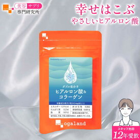 【ヒアルロン酸 1袋に360mg配合】W低分子ヒアルロン酸&コラーゲン（約1ヶ月分～）送料無料 美容 女性 健康 サプリ サプリメント ヒアルロン酸 コラーゲン オーガランド 乾燥 する季節に 化粧水 ドリンクよりも手軽 大容量 半年分