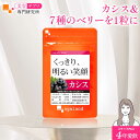 《TVで話題！》カシス（約1ヶ月分）【ランキング1位受賞】送料無料 サプリメント カシスパウダー より手軽 健康 美容 サプリ カシス アサイー 配合 ポリフェノール アントシアニン カシスサプリ 7種のベリー お試しサイズ 美容サプリ専門研究所オーガランド