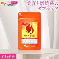 α-リポ酸（約1ヶ月分） サプリ サプリメント 美容 健康
