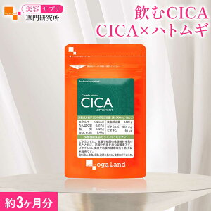 CICAi3j Tvg e c{NTGLX ngMGLX ͂Ƃނ rI` R[Q r^~C y eTv匤I[Kh
