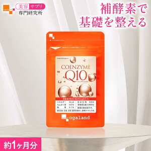 RGUCQ10i1j e _CGbg Tvg yf RGUCQ10 Tvg LJj` |_Ƃ̑ e N TvS҂ɂ RV