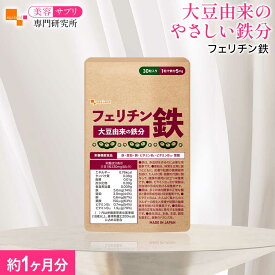 【ランキング受賞】 フェリチン鉄 （約1ヶ月分） 鉄 鉄分 サプリ 栄養機能食品 貯蔵鉄 オーガランド 女性 亜鉛 銅 葉酸 ビタミンB6 ビタミンB12 非ヘム鉄 小粒 1粒あたり5mg 高吸収 有機 大豆由来 ドリンクより手軽に サプリメント
